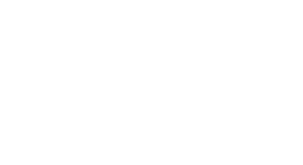 Neutral Cargo Logistics